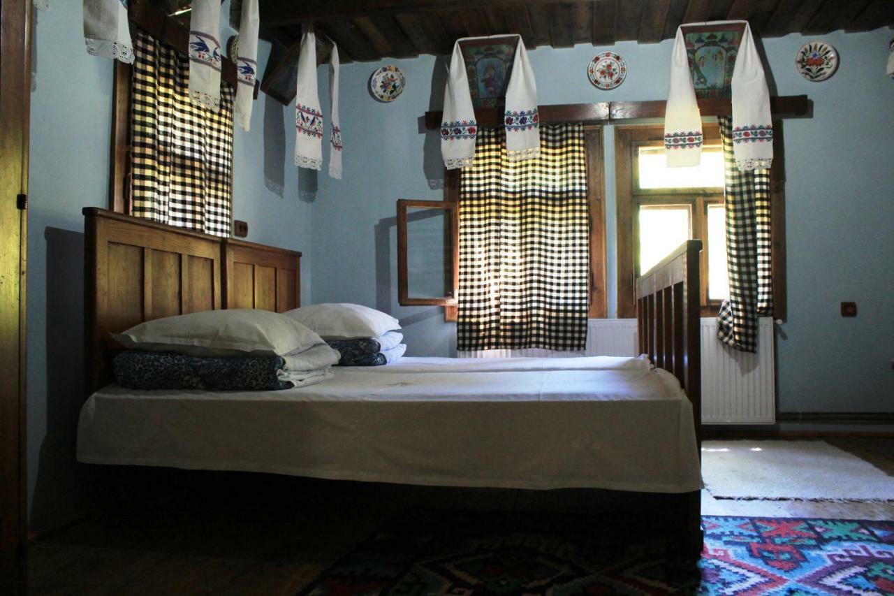Pensiunea Ioana Vadu Izei Bagian luar foto